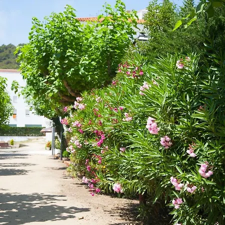 Готель Marina Tossa Тоса-де-Мар